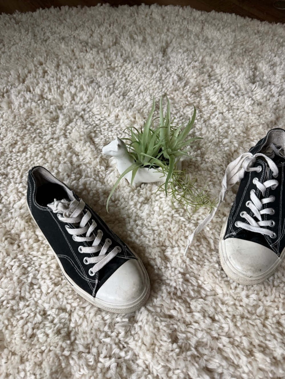 Target Black and White Low-Top Athletic converse skater sporty Sneakers